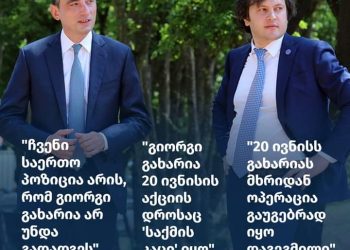 “20 ივნისი მთლიანად გახარიას შეტენა, არადა წინა დღით თავად უჯახუნა ჭიქა გავრილოვს”