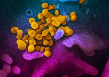 რა სიმპტომები განასხვავებს დელტა შტამს თავდაპირველი ვარიანტისგან?