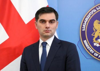 საქართველოს ახალი წარმომადგენელი ევროკავშირში – დეტალები