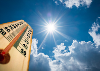 ტემპერატურამ, შესაძლოა, +38 გრადუსს გადააჭარბოს – ტყეში ხანძრების გაჩენის რისკი საქართველოში