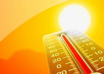 კანადაში +49.6 გრადუსი სიცხე დაფიქსირდა – დაიღუპა 130 ადამიანი