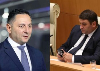 დროულად დამაჯარიმეთ! – დეპუტატის მიმართვა შსს-ს