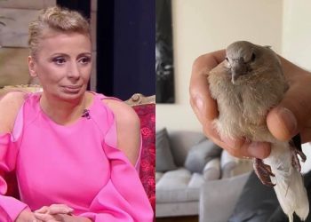 „ბეღურები ცვივა ეზოში, თითქოს გაბრუებულია და ვერ დაფრინავს” – ნატო დუმბაძე უცნაურ მოვლენაზე წერს