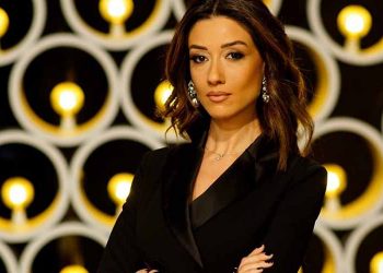 ქალბატონებო, ეს ძალიან გაუშნოებთ… – ნინი ბადურაშვილი