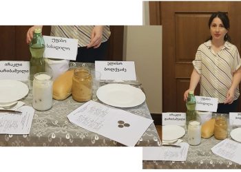 (ვიდეო) – სადილი პრემიერისთვის 1.30 ლარად – “გასინჯონ და გვითხრან…” – თეონა ჭალიძე