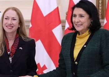 ტერმინების თამაში მიდის, ეს ორი სხვადასხვა რამეა… – რაზე ესაუბრა პრეზიდენტი აშშ-ის ელჩს?