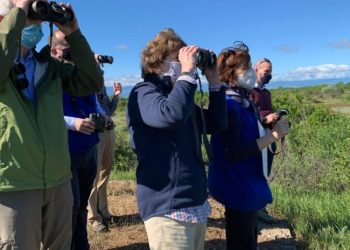 ამერიკელი სენატორები საოკუპაციო ხაზთან ჩავიდნენ