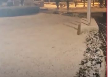 (ვიდეო) – ბრაზილიაში თოვს