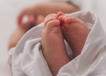 თბილისში 4 ტყუპი დაიბადა