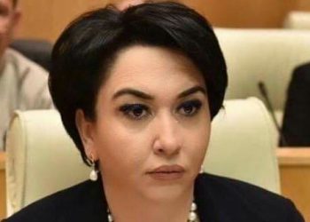 “ეს პარლამენტია???” – ეკა ბესელია