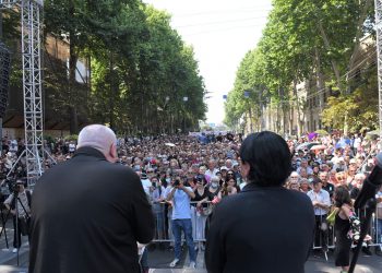 „საქართველოში ჩამობრძანებულ ელჩებს ჩვენი სამშობლო, ეტყობა, მარტო ღვინო, ჩურჩხელა და ხაჭაპური ჰგონიათ“ – ირმა ინაშვილი
