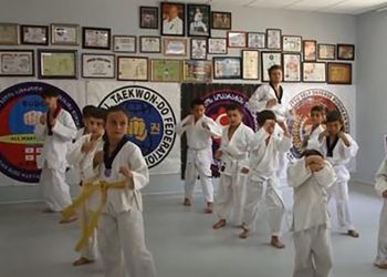 (ვიდეო) – 4 წლის ნიკოლოზი ტაეკვონდოს საჩვენებელ გამოსვლაზე – გურია