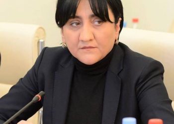 17 პუნქტი ირმა ინაშვილისგან