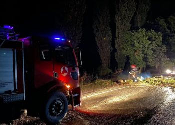 სტიქია კახეთში – ქარმა მოგლიჯა ხეები, სახლის სახურავები, დაზიანებულია ელგაყვანილობა