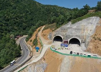 რიკოთზე მიწის მასა ჩამოიშალა – მოძრაობა შეჩერდა