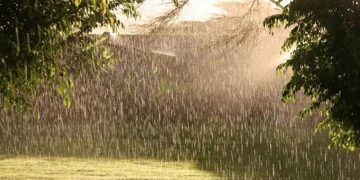 როდემდეა მოსალოდნელი წვიმიანი ამინდი?