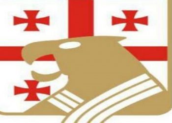 მარგველაშვილსა და შავდათუაშვილს ოლიმპიური თამაშები დაატოვებინეს – დეტალები