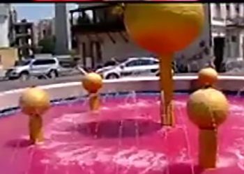 (ვიდეო) – სისხლისფერი შადრევანი ღარიბაშვილის კაბინეტის წინ