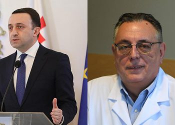 “ახალმა დადგენილებამ “გზა გაუხსნა” შარლატანებს და ფალსიფიკატორებს” – გიორგი კავკასიძე