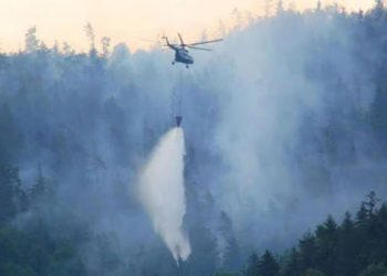 ვაშლოვანის ნაკრძალში ხანძრის ქრობის პროცესში ვერტმფრენი ჩაერთვება