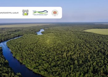 საქართველოს ბანკის მხარდაჭერით ოთხ დაცულ ტერიტორიას UNESCO-ს მსოფლიო ბუნებრივი მემკვიდრეობის სტატუსი მიენიჭა