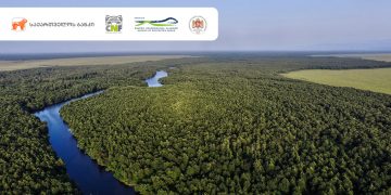 საქართველოს ბანკის მხარდაჭერით ოთხ დაცულ ტერიტორიას UNESCO-ს მსოფლიო ბუნებრივი მემკვიდრეობის სტატუსი მიენიჭა