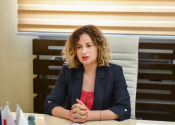 საქართველოს გენერალური პროკურორის მოადგილე ნათია მერებაშვილი ევროპის საბჭოს საპარლამენტო ასამბლეის წარმომადგენლებს შეხვდა