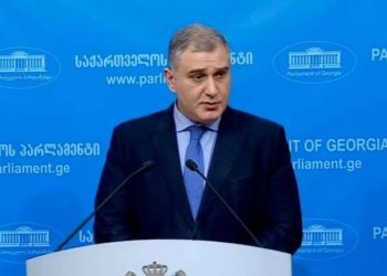 „თუ ვინმეს მიაჩნია, რომ მაგიდაზე ფეხებით შემდგარი დეპუტატი გამოხატვის ფორმაა – მისი პრობლემაა” – მიხეილ სარჯველაძე