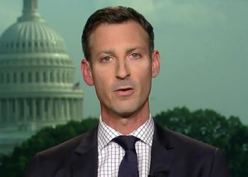 “ძალადობამ უკვე შეიწირა ერთი სიცოცხლე… ჩვენ გვაქვს რამდენიმე მექანიზმი, მათ შორის სანქციები” – ნედ პრაისი ლექსო ლაშქარავას გარდაცვალებაზე