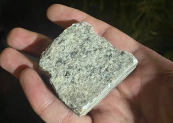 “ქვების სროლაზე გადავიდნენ…”- გიგა მაქარაშვილი