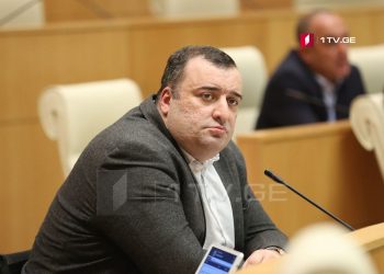 “ჯერ უნდა გაარკვიო, ხომ არ მიაკითხა მას საეჭვო რეპუტაციის მქონე მეგობარმა ფონიჭალაში წასაყვანად…” – რატი იონათამიშვილი აშშ-ის ყოფილ ელჩს