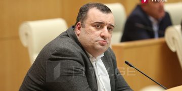 “ჯერ უნდა გაარკვიო, ხომ არ მიაკითხა მას საეჭვო რეპუტაციის მქონე მეგობარმა ფონიჭალაში წასაყვანად…” – რატი იონათამიშვილი აშშ-ის ყოფილ ელჩს