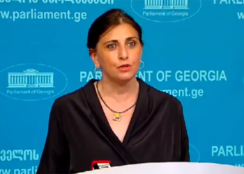 თამარ კორძაია საპარლამენტო საქმიანობას წყვეტს