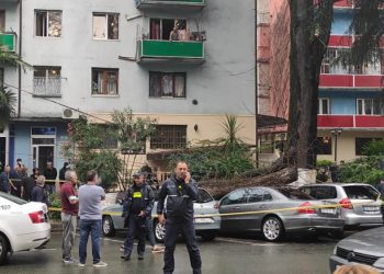 ძლიერი წვიმის შემდეგ, ზუგდიდის ცენტრში ხე წაიქცა