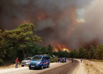 10 წლის ბავშვებმა აღიარეს, რომ მარმარისში ხანძარი მათი მიზეზით გაჩნდა