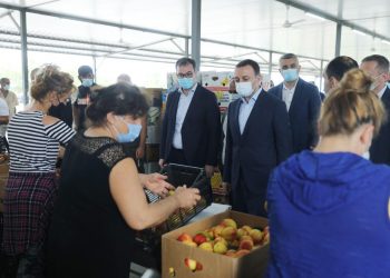 ირაკლი ღარიბაშვილი ფერმერებს – სახელმწიფო მომავალშიც განაგრძობს სოფლის მეურნეობის განვითარების თანმიმდევრულ პოლიტიკას და მიზნობრივი პროგრამების განხორციელებას აგრობიზნესით დაინტერესებული მოქალაქეების მხარდასაჭერად