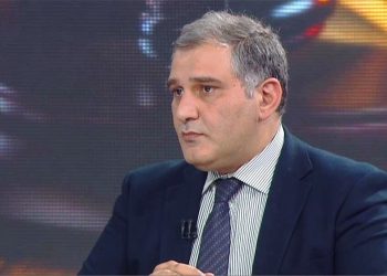 უმრავლესობის წევრის მიხეილ სარჯველაძის განცხადება