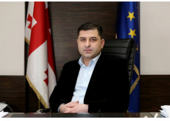 სოსო გოგაშვილი პოლიტიკაში მიდის