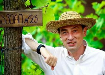 “ქუდი გაგყვათ ბატონო გიორგი და მარშუტკას გამოატანეთ დილას”, “ითვალეთ ახლა ქოცები ლაიქები” – კომენტარები გახარიას ფოტოზე