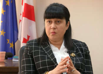 „ჯანდაცვის სექტორს ჯერჯერობით აქვს რესურსი, რომ მზარდი შემთხვევები მართოს“ – თამარ გაბუნია