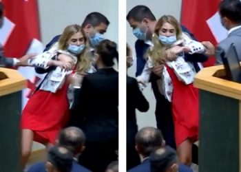 პარლამენტში ქალი პოლიტიკოსების გაძლიერების  პლატფორმა შეიქმნება