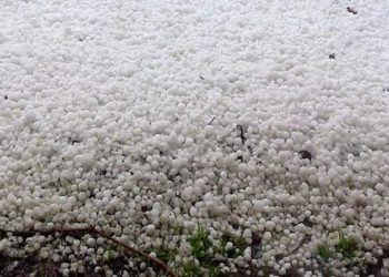 რომელი მუნიციპალიტეტები დააზარალა სტიქიამ კახეთში