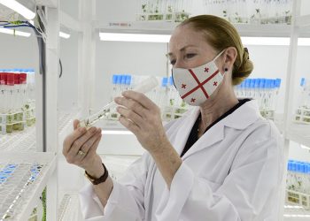 USAID-ის კარტოფილის პროგრამა სამცხე-ჯავახეთში – ფოტოები