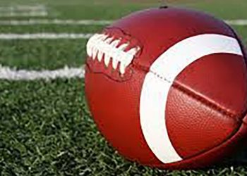 “მორაგბეები ზოგი “ოცნების” პარლამენტის წევრია და ამაში ცუდი არაფერია…” – დიდი შეკრება რაგბის კავშირში