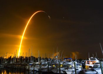 კოსმოსში ჭიანჭველები, ავოკადო, მცენარეთა თესლი და რობოტი გაგზავნეს – AP News