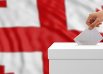 რომელმა პარტიამ მიიღო ხალხის ხმების 51%? – NDI-ს კვლევის შედეგი