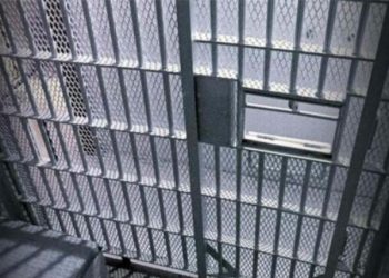 როდის იქნება შესაძლებელი ციხეებში მარიამობის დღესასწაულთან დაკავშირებით, ამანათების შეგზავნა?