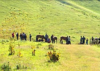 ჯუთაში “აგვისტოს ომის გმირების სახელობის დოღი” იმართება