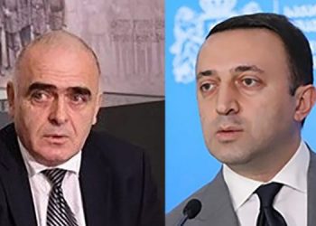 “ყველა გარდაცვლილი ღარიბაშვილის და მთავრობისა ბრალია, პრემიერი მოღალატეა” – ვაჟა გაფრინდაშვილი