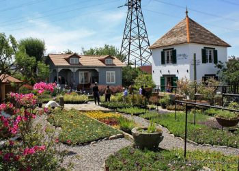 კოვიდრეგულაციების დარღვევის გამო, „გარდენია შევარდნაძე“ ილუქება